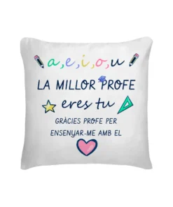 Cojín La Mejor Profe Eres Tú