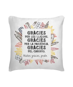 Cojín Gràcies Per Les Lliçons