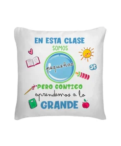 Cojín En Esta Clase Somos Pequeños