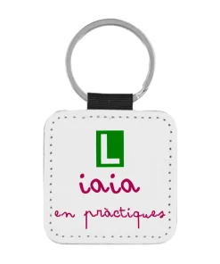 Llavero Iaia En Pràctiques