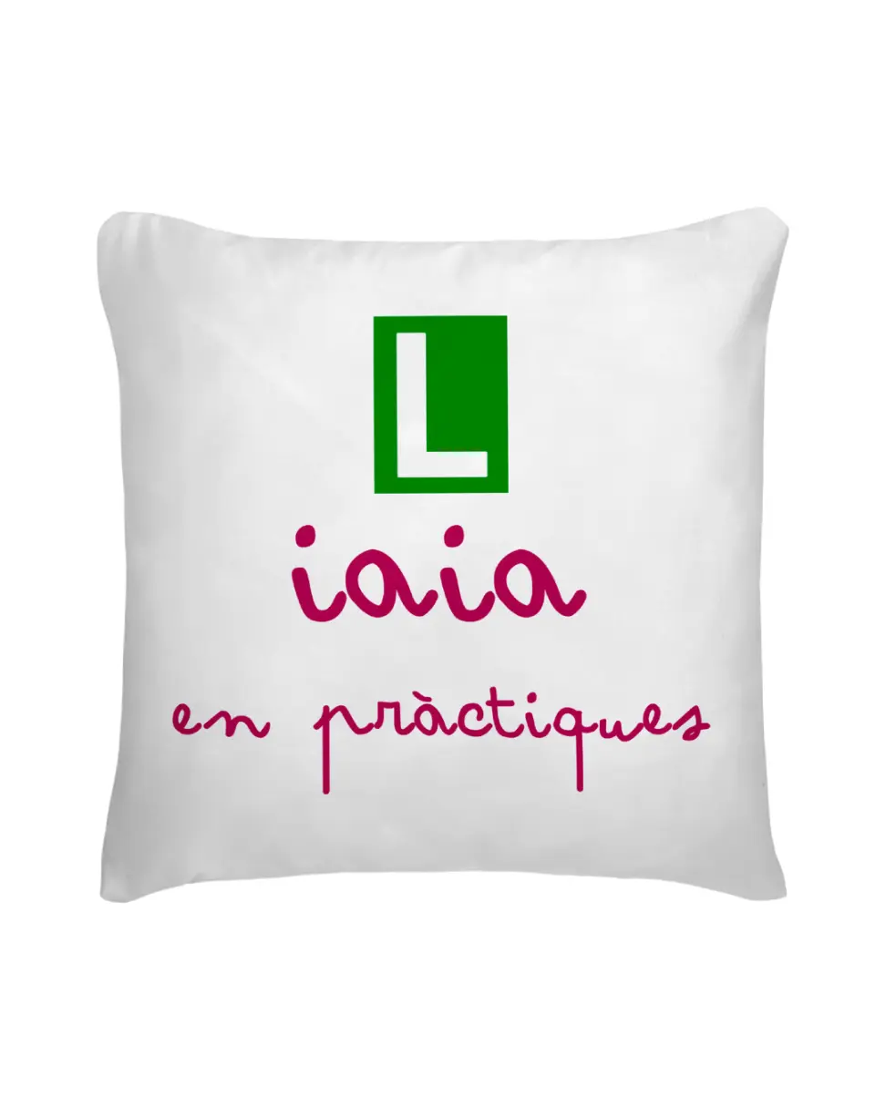 Cojín Iaia En Pràctiques