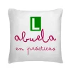 Cojín Abuela En Prácticas