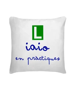 Cojín Iaio En Pràctiques
