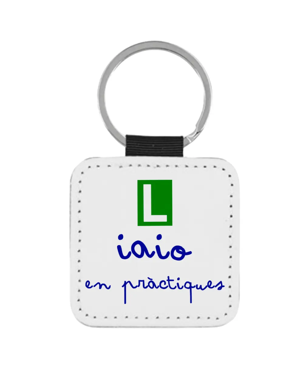 Llavero Iaio En Pràctiques