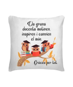 Cojín Profe Els Grans Docents