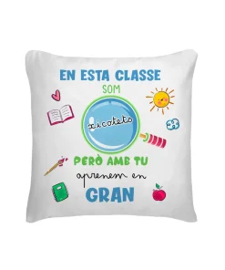 Cojín En Esta Classe Som Xicotets