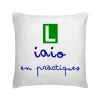 Cojín Iaio En Pràctiques