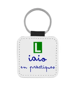 Llavero Iaio En Pràctiques